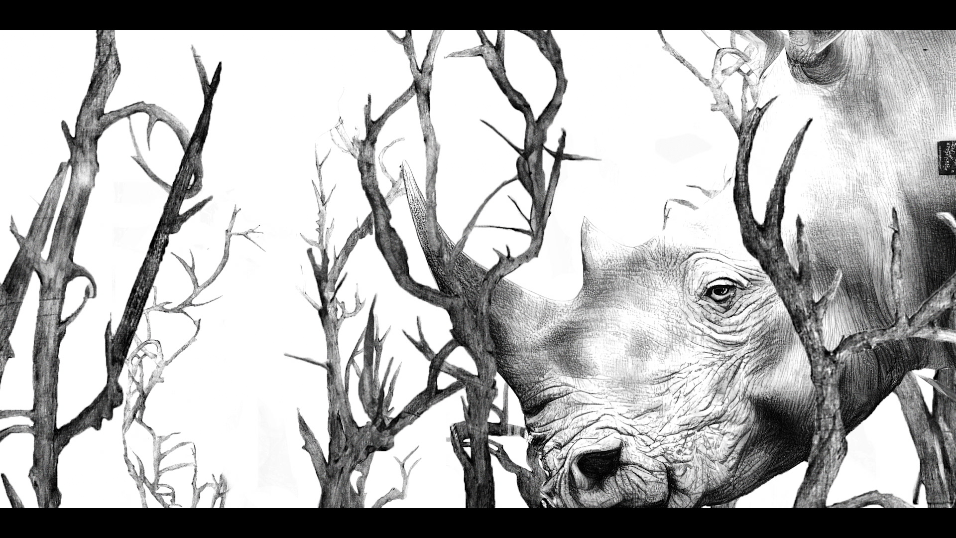 dansemacabre09